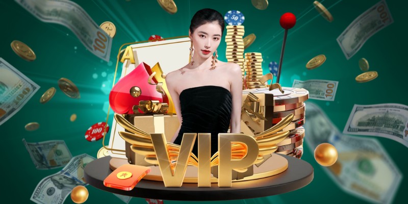 Hoa hồng lợi nhuận theo chu kỳ 7 ngày cho đại lý