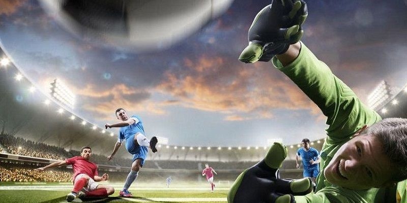 Người kinh nghiệm thường nhìn vào tỉ lệ biến động