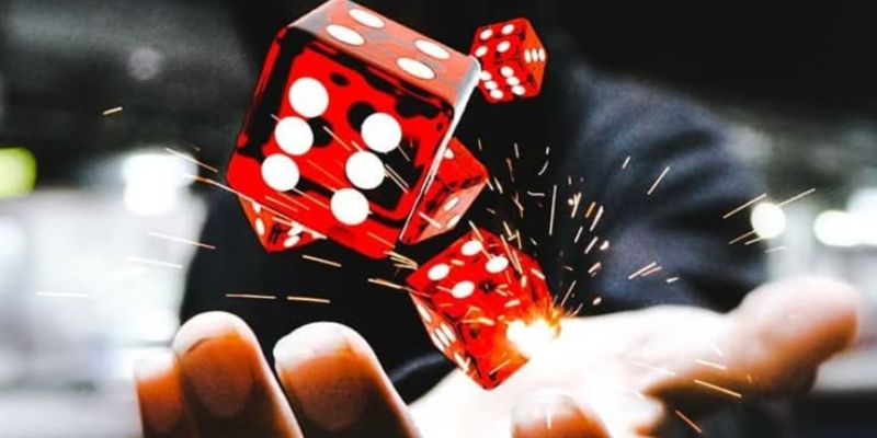 Đa dạng công cụ hỗ trợ dự đoán hiệu quả dành cho bạn