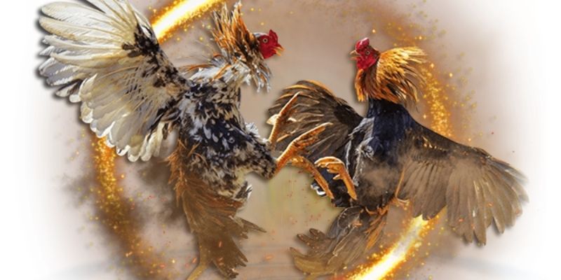 Quy trình tham gia đơn giản, chỉ với 3 bước nhanh gọn
