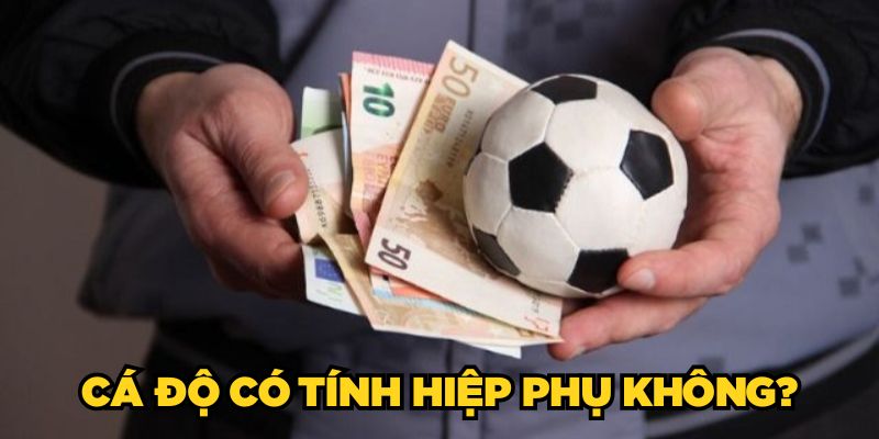 Cá Độ Có Tính Hiệp Phụ Không? Bật Mí Cụ Thể Từ A - Z