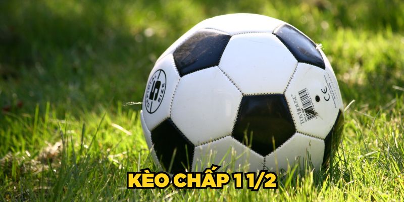 Kèo Chấp 1 1/2| Mẹo Bắt Chuẩn, Ăn Tiền Cửa Trên Dễ Dàng
