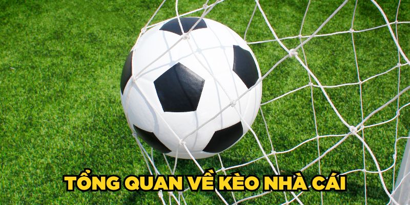 Tổng quan về kèo nhà cái