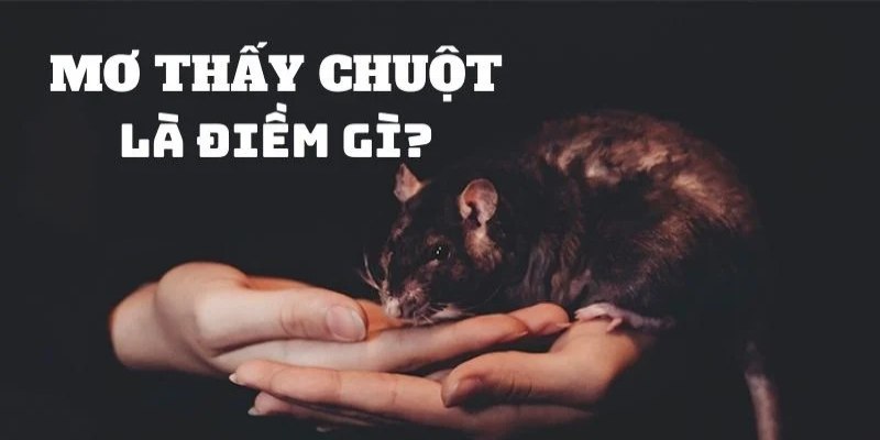 Điều quan trọng cần nắm khi giải mã lô đề