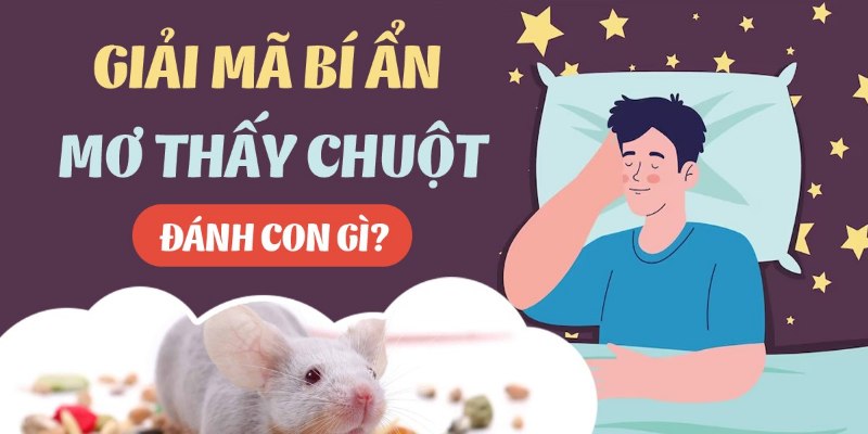 Mơ Thấy Chuột Đánh Con Gì