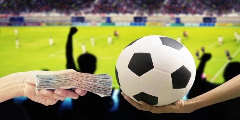 Lý giải tại sao cá cược bóng đá luôn thua do cược theo cảm xúc