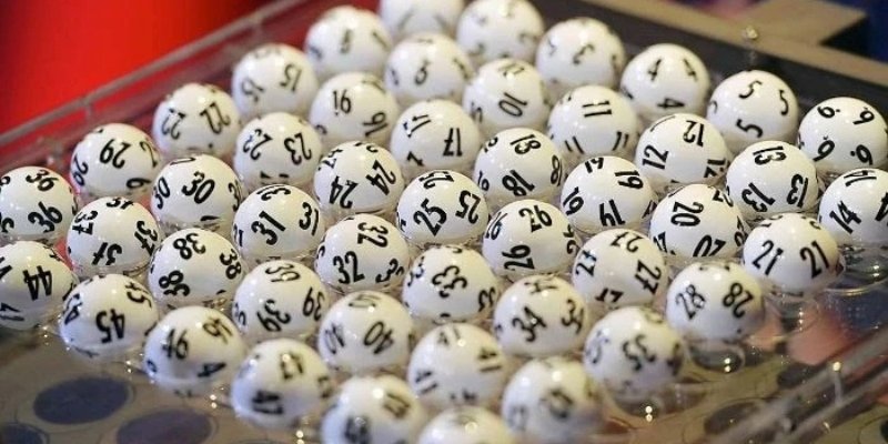 Hướng dẫn dò vé số miền Bắc dễ hiểu, dễ làm cho người mới