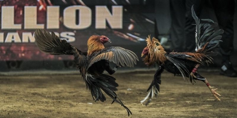 Làm chủ cuộc chơi khi phân chia khoản ngân sách hợp lý