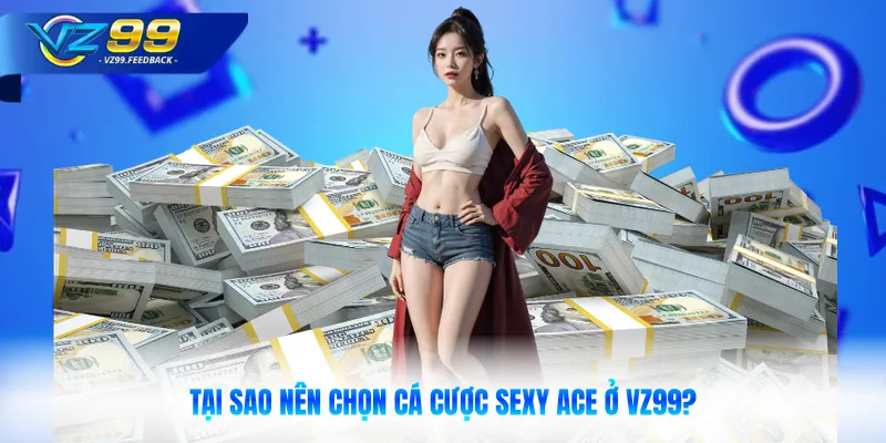 Tại sao nên chọn cá cược sexy ACE ở VZ99?