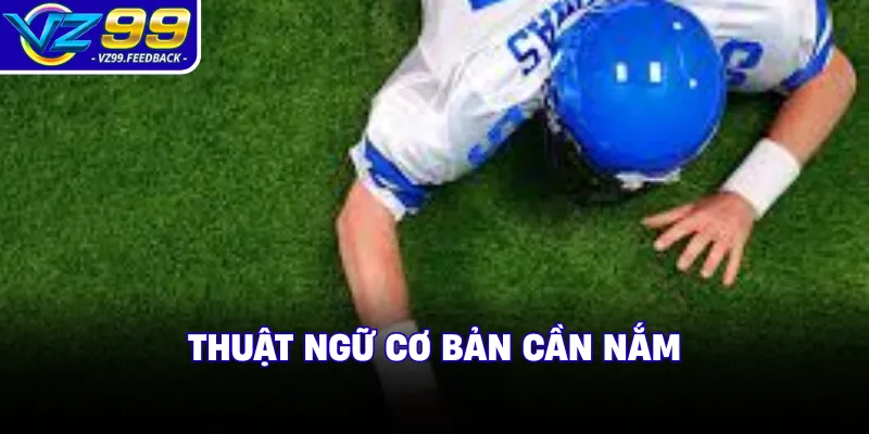 Thuật ngữ cơ bản cần nắm 