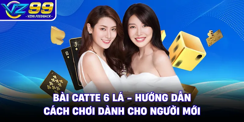 Bài Catte 6 Lá - Hướng Dẫn Cách Chơi Dành Cho Người Mới