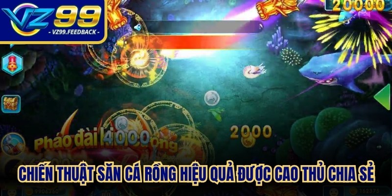 Chiến thuật săn cá Rồng hiệu quả được cao thủ chia sẻ