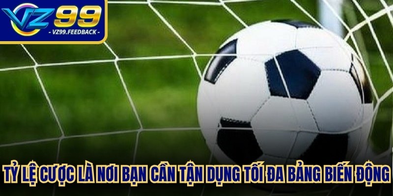 Tỷ lệ cược là nơi bạn cần tận dụng tối đa bảng biến động online