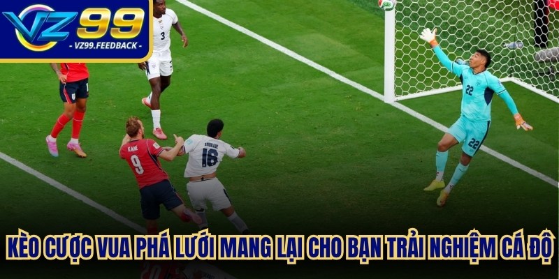 Kèo cược online vua phá lưới mang lại cho bạn những trải nghiệm cá độ