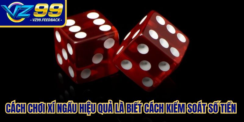 Cách chơi xí ngầu hiệu quả là biết cách kiểm soát số tiền hoặc mức cược