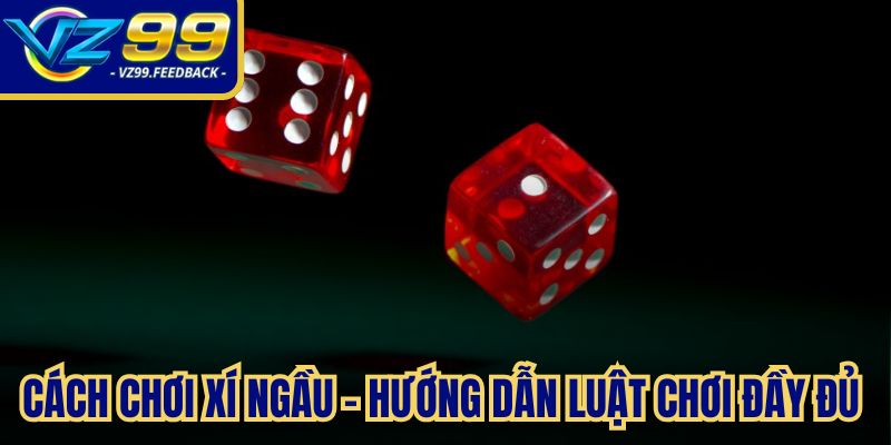 Cách chơi xí ngầu