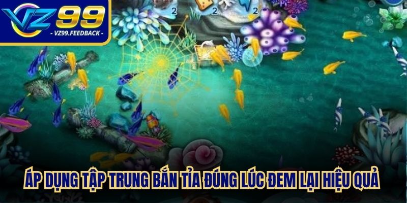 Áp dụng tập trung bắn tỉa đúng lúc đem lại hiệu quả nhận thưởng cao