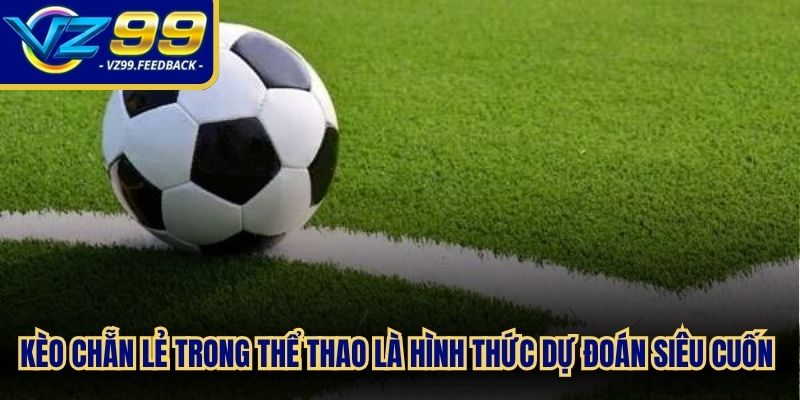 Kèo chẵn lẻ trong thể thao là hình thức dự đoán siêu cuốn hút